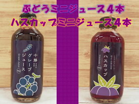 【ふるさと納税】北海道 ぶどうとハスカップのミニジュースA042-4-1