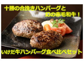 【ふるさと納税】北海道 十勝の合挽きハンバーグといけだ牛ハンバーグ食べ比べセットA041-6-2