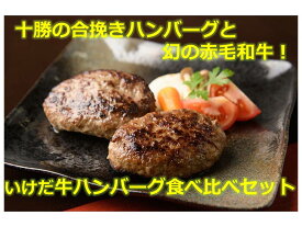 【ふるさと納税】北海道十勝合挽きハンバーグといけだ牛100％ハンバーグ食べ比べ 計4個 冷凍 小分け 池田牛 テレビで紹介 ブランド牛 牛肉 お肉 北海道牛 国産 北海道 幻の赤毛和牛 送料無料 ふるさと納税