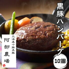 【ふるさと納税】北海道 黒豚ハンバーグ 150g×10個セット【P012-2-1】