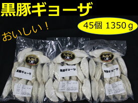 【ふるさと納税】北海道 手作り 黒豚ギョーザ A012-4-1