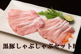 【ふるさと納税】北海道 黒豚しゃぶしゃぶセットB　C012-2-1