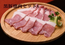 【ふるさと納税】北海道 黒豚焼肉セットA（1.2kg）ハンバーグ8個付A012-2-1