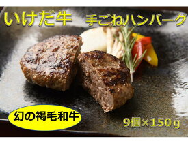 【ふるさと納税】北海道 いけだ牛手ごねハンバーグ A011-3-1