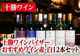 【ふるさと納税】北海道 十勝ワイン バイザーおすすめワイン赤・白12本セットD002-3-3