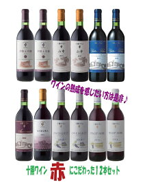 【ふるさと納税】D001-1 十勝ワイン赤にこだわったビンテージ12本セット