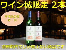 【ふるさと納税】北海道 十勝ワイン 池田町ワイン城限定2本セットA001-3-2