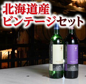 【ふるさと納税】北海道産ビンテージセット ワインA001-2-2