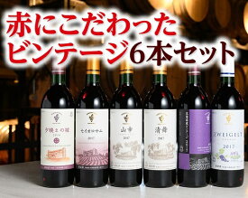 【ふるさと納税】北海道 十勝ワイン 赤にこだわったビンテージ6本セット　C001-1-3