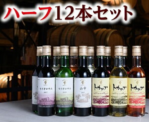 yӂ邳Ɣ[Łz\C n[t 12{Zbg(360ml×12{j kCC YC ܃C