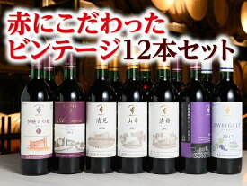 【ふるさと納税】北海道 十勝ワイン 赤にこだわったビンテージ12本セット　D001-1-2