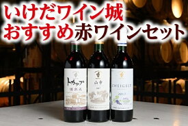 【ふるさと納税】B001-3-2 北海道 いけだワイン城おすすめ赤ワインセット