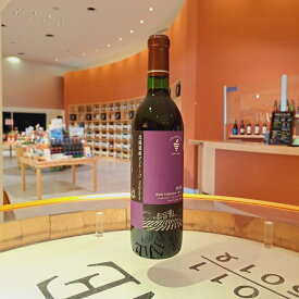 【ふるさと納税】北海道産ビンテージワイン（赤）1本 十勝ワイン ビンテージ