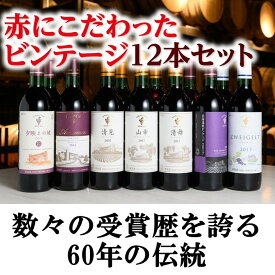 【ふるさと納税】北海道 十勝ワイン 赤にこだわったビンテージ12本セット 北海道ワイン 国産ワイン ヴィンテージ ビンテージ 厳選 人気 受賞 山幸 おすすめ 高品質 セレクション 送料無料 ふるさと納税 池田町