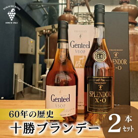 【ふるさと納税】高級十勝ブランデー2本セット 計1.4L ブランデー XO VSOP 高級 15年熟成 各1本700ml×2本 アルコール40% ジェンティール スプレンダー 60年の歴史