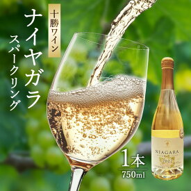【ふるさと納税】北海道 十勝ワイン ナイヤガラスパークリング 1本 甘口