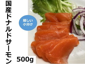 【ふるさと納税】北海道　国産ドナルドサーモン(生食用) 500g 小分け 4パック前後 サーモン 鮭 シャケ