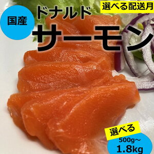 yӂ邳Ɣ[ŁzYT[ 500g/ 800g/1800g 󂠂 Iׂ TCYs  |[V  ubN  hg CN Jpb`  H CN Ⓚ N ŒZ5c