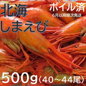 yӂ邳Ɣ[ŁzV kCȊCViV}Grj 500g 40`44 Y Gr CV  ܂ Ȃ {C Y  ӂ邳Ɣ[ STCY