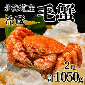 yӂ邳Ɣ[Łz ъIi2jv1050`1100g ①  I Jj Y@ӂ邳Ɣ[   Mtg