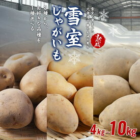 【ふるさと納税】先行予約 期間限定 高評価4.53 北海道産 熟成じゃがいも 4～10kg 選べる銘柄 雪室貯蔵 十勝産 ジャガイモ じゃが芋 いも 甘い