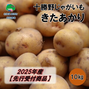 yӂ邳Ɣ[Łz\삶Ⴊ 10kgy2025NYzistjmc_n"kC \ L" s\ \ Y _ƒ ʌ    قق Â 