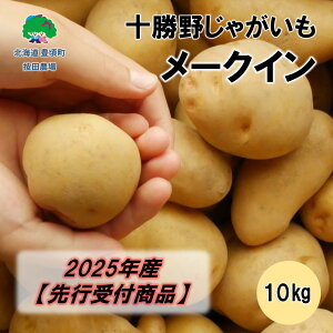 yӂ邳Ɣ[Łz\삶Ⴊ [NC10kgy2025NYzistjmc_n"kC \ L" s\ \ Y _ƒ ʌ  قق   Â 