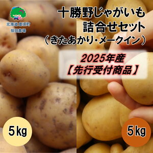 yӂ邳Ɣ[Łz\삶ႪlZbg10kgiE[NCjy2025NYzistjmc_n"kC \ L" s\ \ Y _ƒ ʌ  