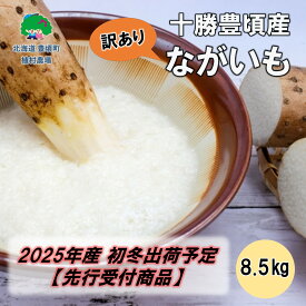 【ふるさと納税】【訳あり】十勝豊頃産 ながいも8.5kg【2025年初冬出荷（先行受付）】【植村農場】" 北海道 十勝 豊頃町 " 先行予約 予約 特産 農家直送 数量限定 送料無料 長いも 長芋