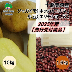 yӂ邳Ɣ[Łz\LY WKC10kg(zbJCRKl)E1.6kg(GVEY)y2025NYzistjm_n" kC \ L " s\ \ Y _ƒ ʌ 