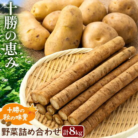 【ふるさと納税】十勝の秋の味覚野菜詰め合わせ（ごぼじゃがセット）【2026年秋出荷】（先行受付）【工房みみずく】" 北海道 十勝 豊頃町 " 先行予約 予約 特産 農家直送 数量限定 送料無料 かぼちゃ カボチャ たまねぎ ジャガイモ 芋《10月中旬-10月下旬頃出荷》