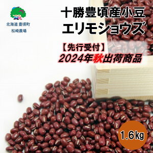 yӂ邳Ɣ[Łzy 2024N Ho is\jz\LY  1.6kg( GVEY )m_n" kC \ L " s\ \ Y _ƒ ʌ   傤
