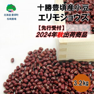 yӂ邳Ɣ[Łzy 2024N Ho is\jz\LY  3.2kg( GVEY )m_n" kC \ L " s\ \ Y _ƒ ʌ   傤