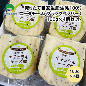 yӂ邳Ɣ[Łz肽 ƐY 100% gpI S[_`[Y i ubNybp[ j100g×4Zbgy kC\ L zm`[YH[uKvn" kC \ L " Y ʌ 