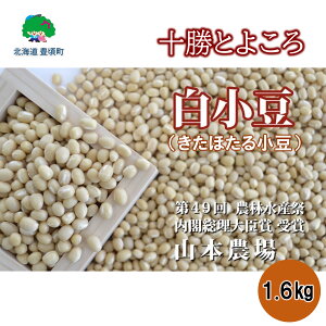 yӂ邳Ɣ[ŁzR{_ \Ƃ悱̏ ق鏬 1.6kg" kC \ L " Y _ƒ ʌ  Ƃ悱  傤 ܂ 