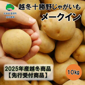 yӂ邳Ɣ[Łzz~\삶Ⴊ[NC10kgy2026Ntoׁzistjmc_n"kC \ L" s\ \ Y _ƒ ʌ 