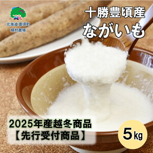 yӂ邳Ɣ[Łz\LY Ȃ5kg y2026NtoׁzmA_n" kC \ L " s\ \ Y _ƒ ʌ 