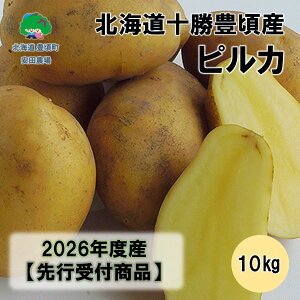 yӂ邳Ɣ[ŁzkC\LYsJ10kg y2026NHoׁzistjmc_n" kC \ L " s\ \ Y _ƒ ʌ  Ⴊ WKC  