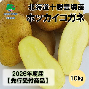 yӂ邳Ɣ[ŁzkC\LYzbJCRKl10kg y2026NHoׁzistjmc_n" kC \ L " s\ \ Y _ƒ ʌ  Ⴊ WK