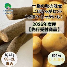 【ふるさと納税】十勝の秋の味覚野菜詰め合わせ（ごぼじゃがセット）【2026年秋出荷】（先行受付）【工房みみずく】" 北海道 十勝 豊頃町 " 先行予約 予約 特産 農家直送 数量限定 送料無料 かぼちゃ カボチャ たまねぎ ジャガイモ 芋