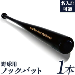 yӂ邳Ɣ[ŁzłLOi܂ōL͂ȗprI u\ 싅pmbNobgv ₫イ ؐ Kp LOi90cm 550g g[jO 싅pi WBC obg Z싅 {ʒό