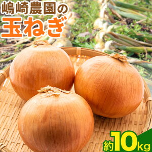 yӂ邳Ɣ[Łz ʂ˂ ܂˂ ʔK Iׂ 5kg 10kg TCYs10{]2珇oׁt_  kC {ʒ kC \ {ʒY IjI J[ T_ X[