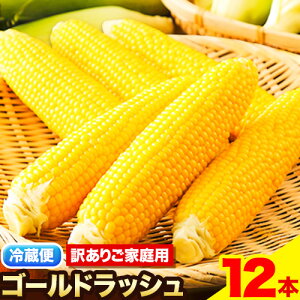 yӂ邳Ɣ[Łzy󂠂ẑƂ낱 X[p[XB[g uS[hbVv ƒp 12{ s2026N8{-9{oׁt _  kC {ʒkC \ {