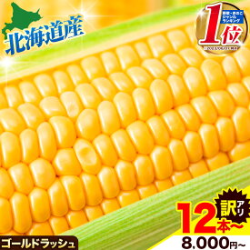 【ふるさと納税】2026年産 先行予約 朝採り ゴールドラッシュ 北海道十勝 本別町産 選べる12本/20本 糖度18度 生で食べれる 極甘 スーパースイート とうもろこし 訳あり 特大 嶋崎農園 冷蔵 送料無料