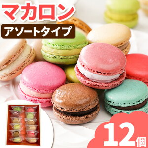 【ふるさと納税】マカロン アソートタイプ 12個入り 欧風ケーキ工房 かねもり 《45日以内に出荷予定(土日祝除く)》 北海道 本別町 送料無料 スイーツ デザート 洋菓子 お菓子 全15種 ランダム