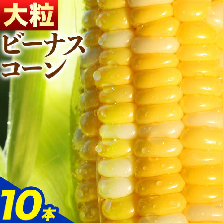 楽天市場】【ふるさと納税】朝採り とうもろこし ビーナスコーン 