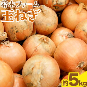 yӂ邳Ɣ[Łz ʂ˂ ܂˂ ʔK 5kg TCYs9{3菇oׁt؃t@[  kC {ʒ kC \ {ʒY IjI V`[ |gt X[v 
