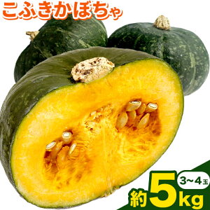 yӂ邳Ɣ[Łz ӂ ڂ Z 5kg 3~4 s2025N10{-11{oׁtO  kC {ʒ kC \ {ʒY ڂ Iڂ pvL zNzN 
