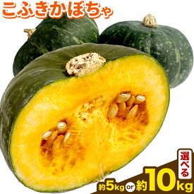 【ふるさと納税】 【先行予約】こふき かぼちゃ 南瓜 選べる 約5kg 3~4玉 約10kg 6～8玉《2026年9月下旬-10月下旬頃出荷》高橋賢三 送料無料 北海道 本別町 北海道 十勝 本別町産 かぼちゃ 栗かぼちゃ パンプキン ホクホク 野菜