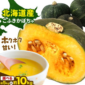 【ふるさと納税】かぼちゃ こふき 選べる 約5kg 10kg 高橋賢三 北海道 本別町産 十勝 南瓜 栗かぼちゃ パンプキン ホクホク 完熟 甘い 旬 野菜 産地直送 お取り寄せ グルメ ギフト 贈り物 プレゼント 備蓄 保存食 先行予約 送料無料 《2026年9月下旬-10月下旬出荷》